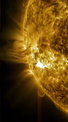 NASA’s Illuminate: The Sun’s Cycle ☀️ | Solar Maximum in Action! 🔥 #ourgalaxy83 #sun #shorts #nasa
