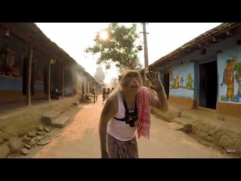 AI Monkey Vlog in Village 😍 | Realistic Monkey Talking & Exploring Desi Life! #viralmonkey