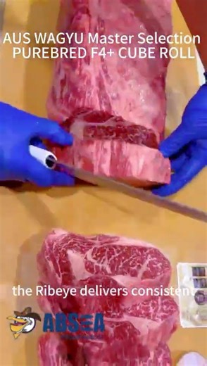 AUS WAGYU Master Selection PUREBRED F4+ CUBE ROLL