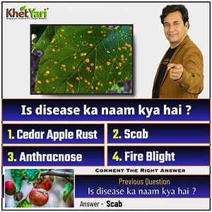 Aapke liye ek aur sawal! 🤔 Apna jawab comment box me type kare ✍️ aur hume bhejde! 📝👇 Jaldi kare, hume aapke jawab ka intezaar hai! 😍🔥 #CommentKaro #AnswerDo #ChallengeAccepted #TypeKaro #SawalKaJawab | Jittu Chauhan Orchardist