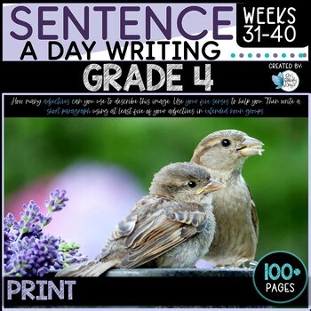 Sentence Writing Grade 4 Weeks 31 to 40