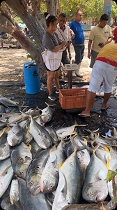 William Rodiño on Reels