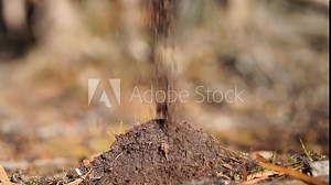farmer collecting soil samples in a test tube in a field. Agronomist checking soil carbon and plant health on a farm