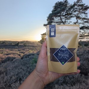 Broccoli Sprouts Seeds 85g / Broccoli Microgreens - Etsy Canada