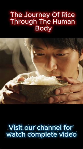 What Happens to Your Body After Eating Rice? (Visual Breakdown) #aianimation #energy #facts