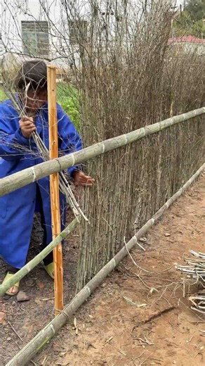 ¡Cerca de jardín hecha fácil! Bricolaje de bambú súper sencillo