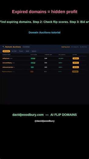 Domain buying step-by-step ($22 in → $1,200 out)