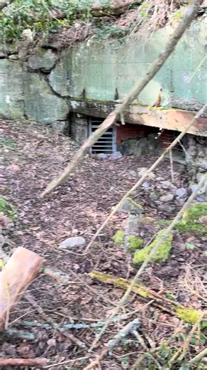 This bunker overlooks the Kall river valley in the Hürtgen forest. It was built as part of the Westwall and still carries its original green camouflage paint. In November 1944, American forces fought through this exact ground. The Kall trail running through the valley below became one of the most costly stretches of the entire campaign. The bunker was demolished after capture, most likely by elements of the 28th Infantry Division. The paint has outlasted everything else. | The Battlefield Explor
