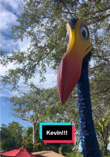 Fun Facts about Kevin from Up * She’s a Girl: Despite the name Russell gave her, Kevin is a female bird protecting her babies. * Meet Her at Disney: You can find her roaming around Discovery Island at Disney’s Animal Kingdom in person. * Director’s Voice: Her squawks and chirps were actually performed by the film's director, Pete Docter. * Real Inspiration: Her vibrant feathers were modeled after the Himalayan Monal Pheasant. * Chocolate Lover: She is famously motivated by snacks, specifically t