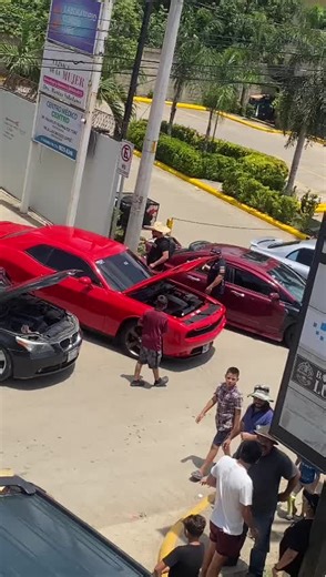 TOP CULTURE on TikTok