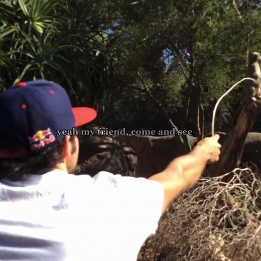 Carlos Sainz's Favorite Animal Revealed | F1 Meets Meerkats