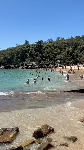 13K views · 49 reactions | Revisiting Shelly Beach before the SUMMER ends️!Beach in Manly,NSW #sydneybeaches #beaches #travelsydney #travelaustralia #exploresydney #thingstodoinsydney #reels #placestovisitinsydney #manly | Touring Places | Facebook