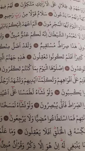 Understanding the Text of the Quran