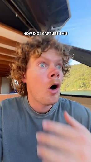 Can’t believe I captured this 😱 | Michael drake