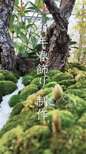 宮内庁/ Imperial Household Agency on Instagram: "毎年12月初旬から、庭園課の職員が伝統の正月用寄植盆栽の春飾りを制作し、年末に宮殿等に飾ります。 梅や松、十両、福寿草など、縁起ものの草木をあしらって制作する様子をご紹介します。"