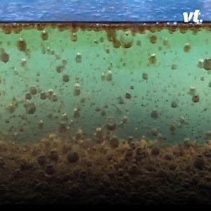 1.3M views · 2.5K reactions | This classic science experiment looks incredible submerged in oil! ⚗️ | VT | Facebook