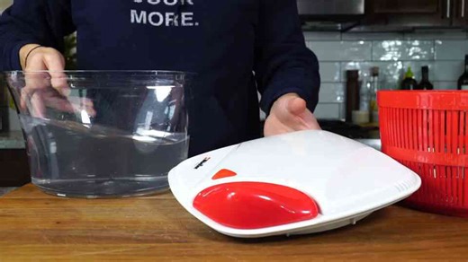 Short rib agnolotti del plin