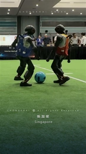 SG Science Centre Robotics Festival | Robo Cup Robot Football | 新加坡 科学馆 机器人节 | 机器人杯 机器人足球