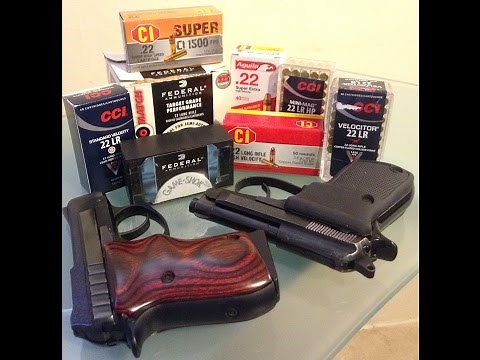 Taurus PT22 vs Beretta 21A Bobcat