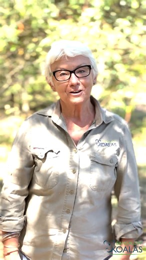 Linda Sparrow, AG’s Conservationist of the Year for 2022, has been nominated for the 2024 NSW Local Hero award. If she wins, she will go forward to the national awards announced on the evening before Australia Day by the Prime Minister in Canberra. Established in 2003, Australia's Local Hero acknowledges people making a difference in their local community. As co-founder of Bangalow Koalas, Linda has certainly made a difference. Her drive and commitment to restoring vital habitat for koalas has s