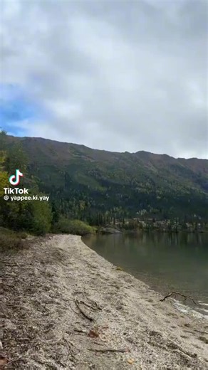 The overall lunch lady✌️♥️🙂 (@the_overall_lunchlady)’s videos with original sound - The overall lunch lady✌️♥️🙂