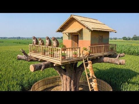 Monkeys and dogs build a beautiful dream treehouse | mini woods toys | ‪@ravindrarajpoot9774‬
