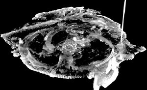 Ancient clock displays Olympic calendar and astronomical cycles