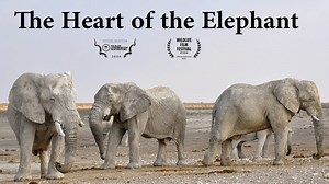 HEART OF THE ELEPHANT TRAILER