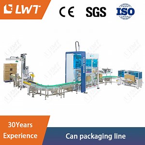[Hot Item] Industrial Automatic Carton Packing Machine Line
