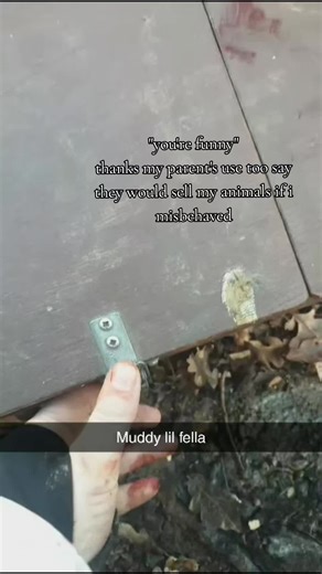 Understanding Dog Training Tips Through Humor