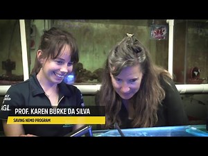 Artificial intelligence understanding fishy behaviour