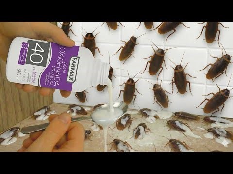 NO MATTER HOW MANY COCKROACHES OR RATS THERE ARE — 1 Drop makes them disappear forever.