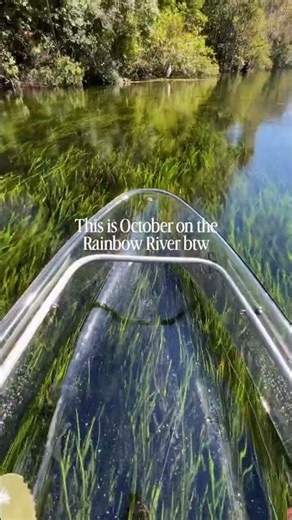 🍂 October on the Rainbow River