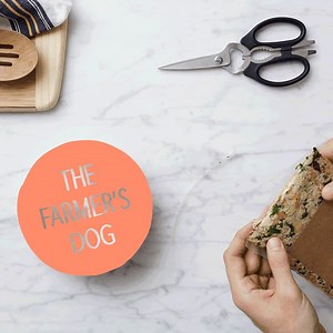 "After trying The Farmer's Dog, I know I'll never eat another dog food brand again." — A very good dog. | The Farmer's Dog