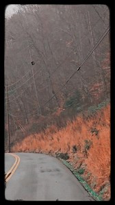 Please Join Paula M Wells and I while we drive down State Hwy 1482 East of Oneida, KY #highlightseveryone #GodBless #Godblesseveryone #ky #Godisgood #God #easternky #EasternKentucky | Wesley Wells