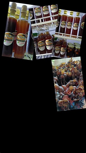 Madu Kelulut Asli Musim Panas - Stok & Manfaat Madu Lebah Kelulut