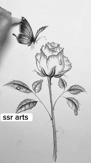 How to draw a beautiful rose with a pencil #art #foryouシ #draw #drawingtutorial #fblifestyle | SSR Art's