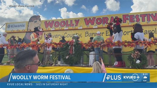 Fuzzy forecaster predicts weather at 'Wooly Worm Festival' in North Carolina