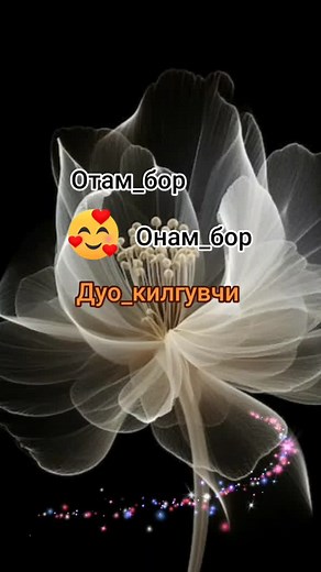 Stunning Animated White Flower Against Black Background