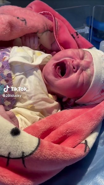 Our 1st day on TikTok