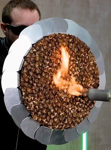 DIY pineaple cap shield 🛡️🍍 | Wood Mood