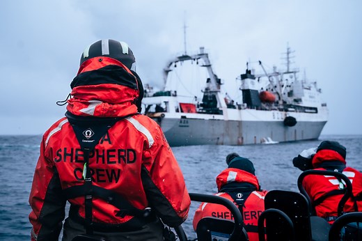 Antarctica: Krill Overfishing