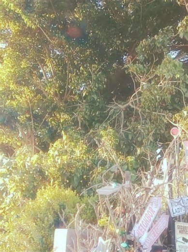 #fyp #missrubytuesday #neighborfromhell #