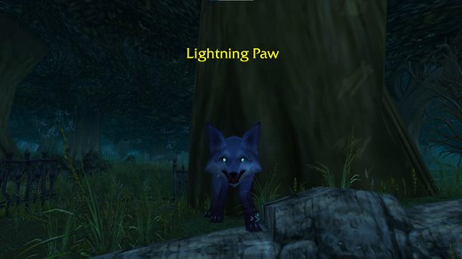 How to tame the Lightning Paw Hunter pet in World of Warcraft