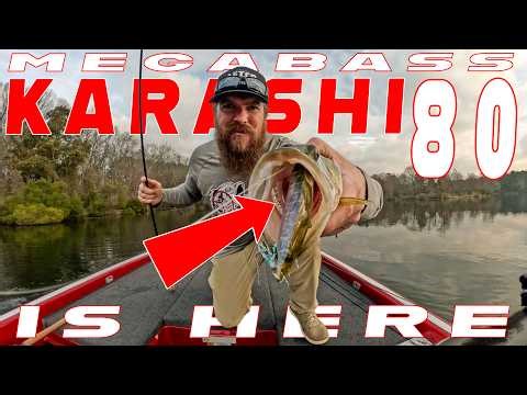 Prespawn Bass Fishing! New Megabass Karashi 80, Chatterbaits, And Spring Swimbaits!