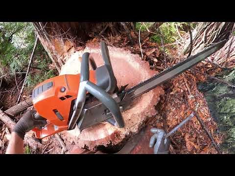 How to quickly file your saws rakers