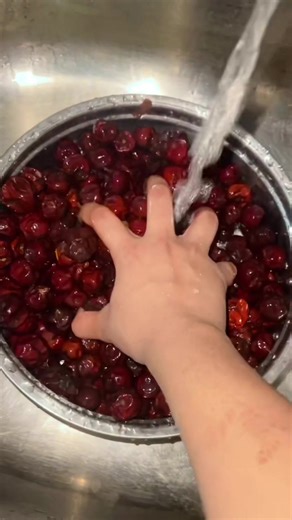 Henna Song by Hafsa & Safwan