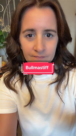 #greenscreen Breed Review: Bullmastiff #bullmastiff #breedreview #bullmastiffpuppy #bullnastiffmom #bullmastiffsoftiktok #bullmastiffsoftiktok #bullmastiffproblems #petcare #vetsoftiktok