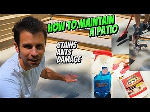 How to Remove Stains and Keep Ants Off a Patio - Natural Bluestone Pavers