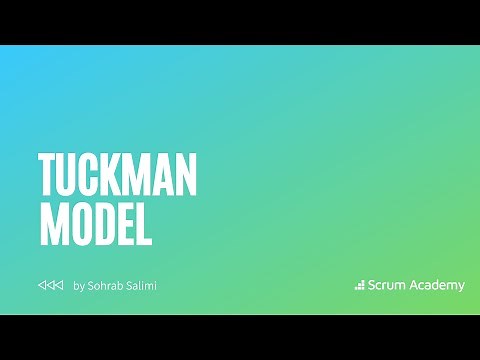 Tuckman Model | Tuckman's stages of group development explained by Sohrab Salimi (Scrum Academy)